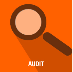 audit