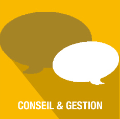 conseil et gestion